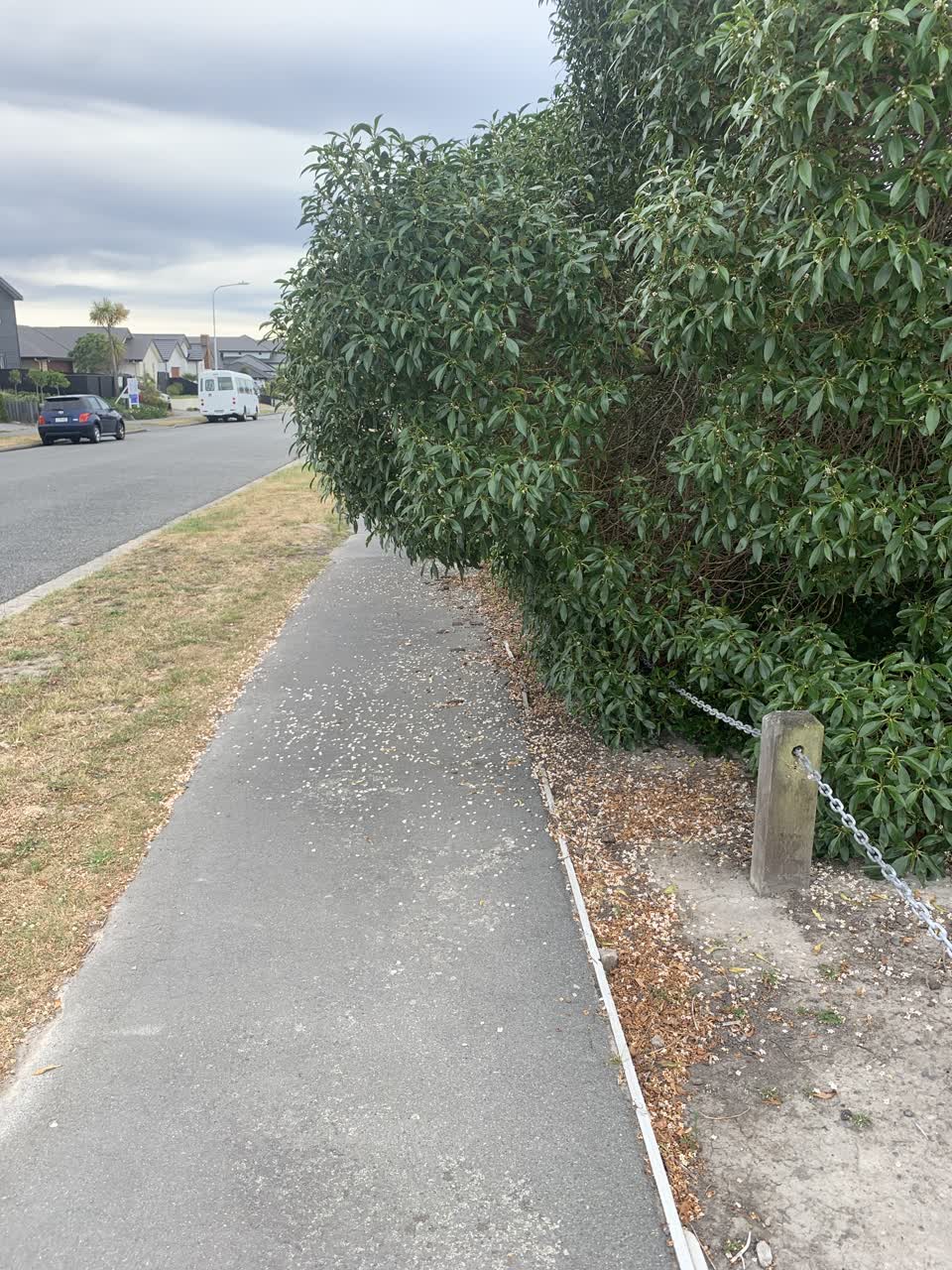 The photograph attached to this parks report