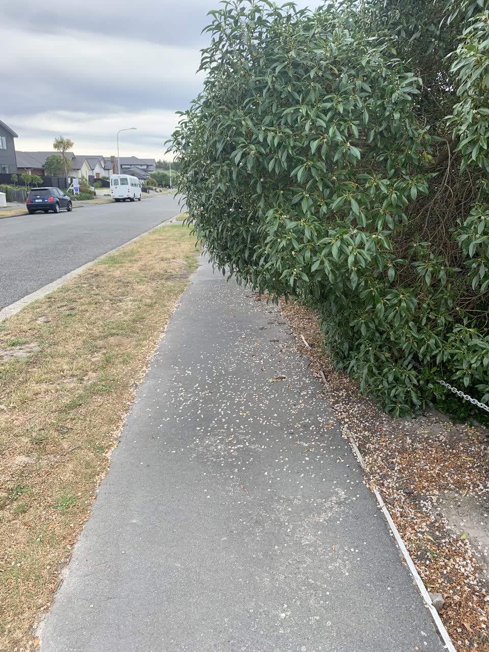 The photograph attached to this roading/streets report