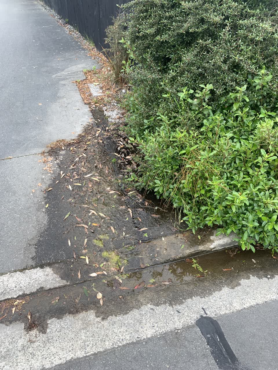 The photograph attached to this water leak report