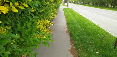 Roading/Streets, a report photo