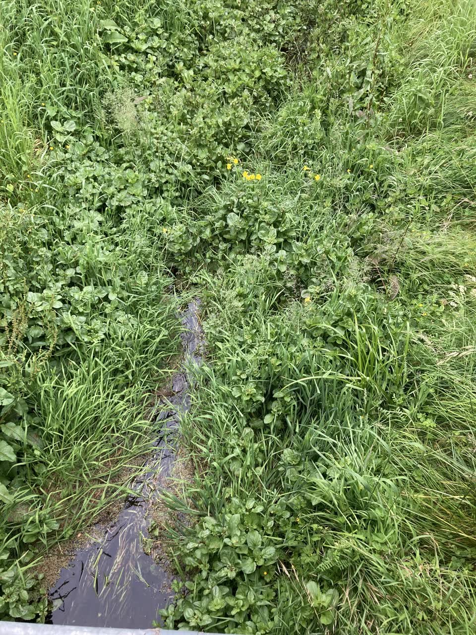 The photograph attached to this wastewater/stormwater report