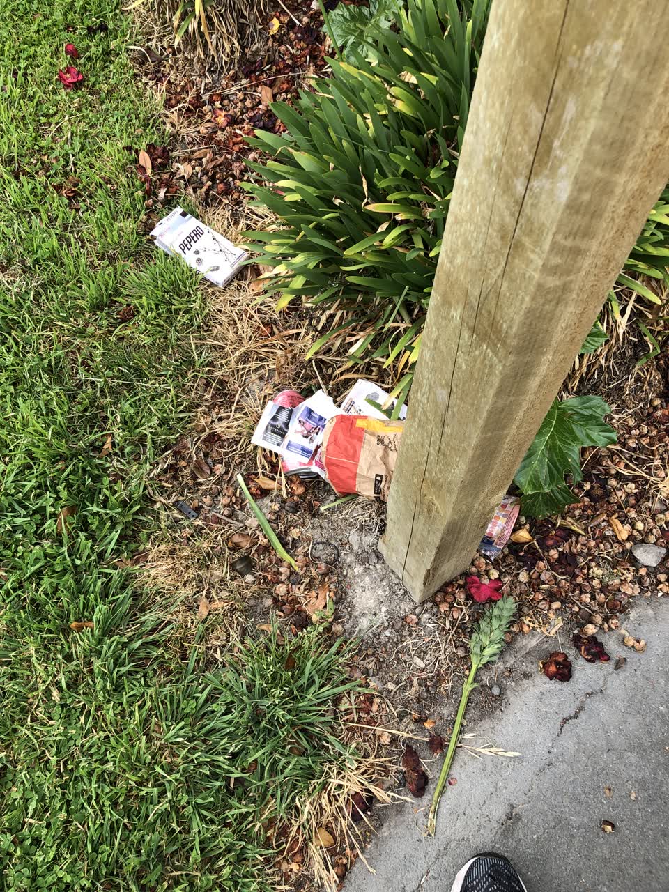 The photograph attached to this parks report