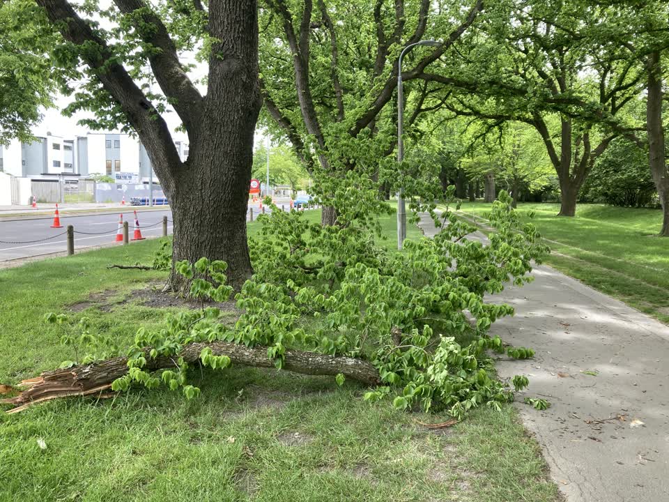The photograph attached to this parks report