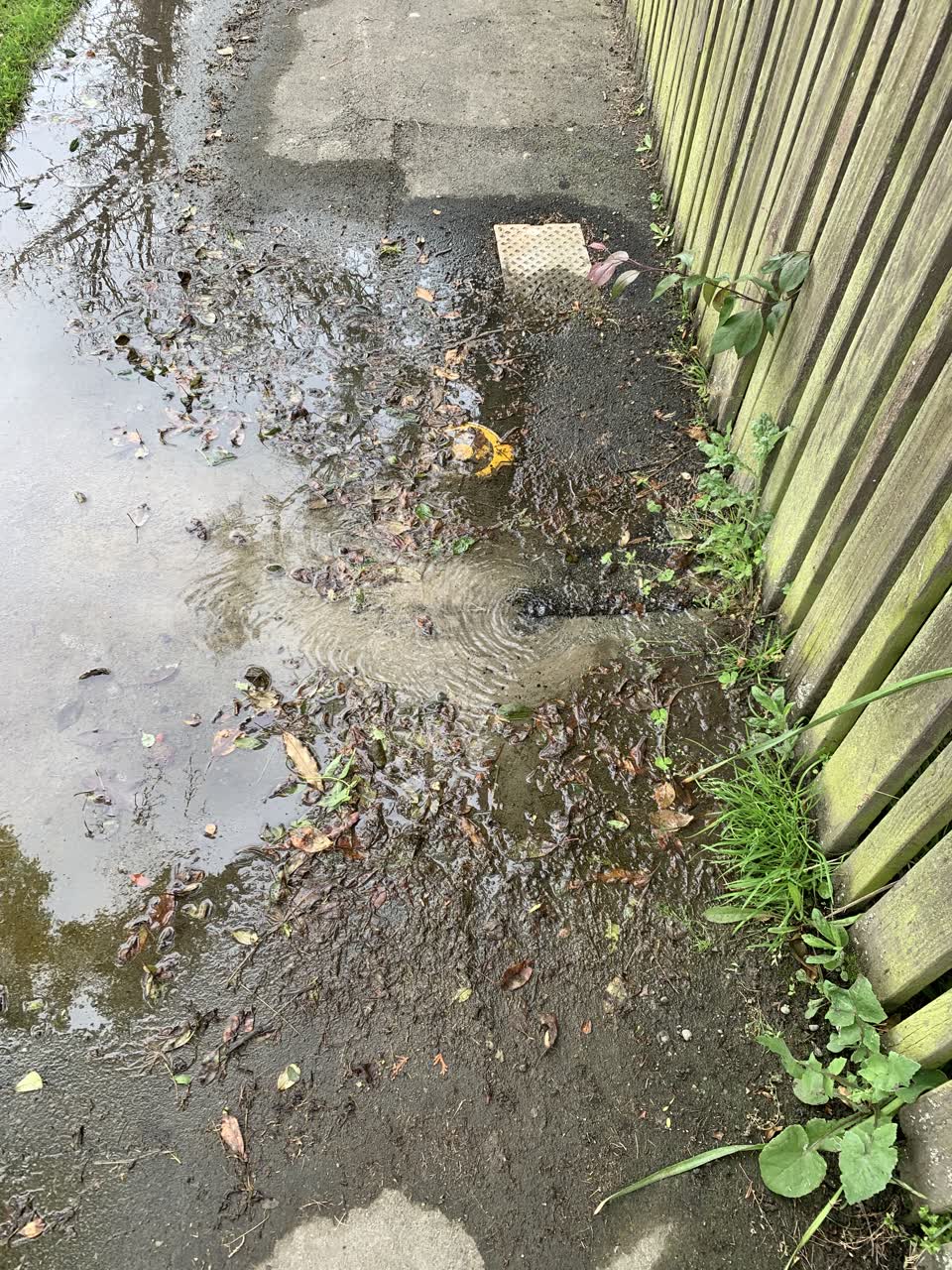 The photograph attached to this water leak report