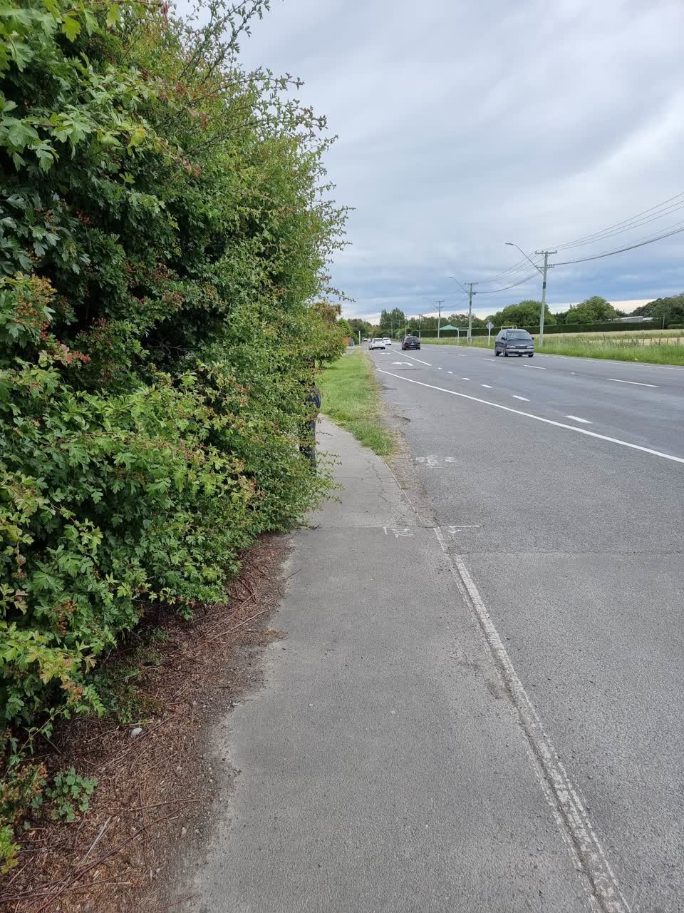 The photograph attached to this parks report