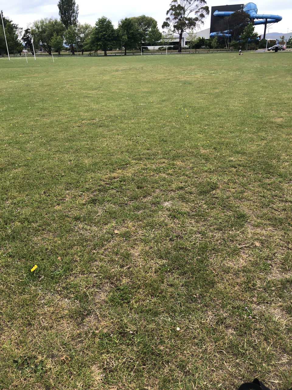 The photograph attached to this parks report