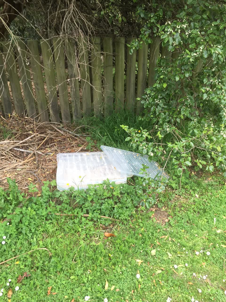The photograph attached to this parks report