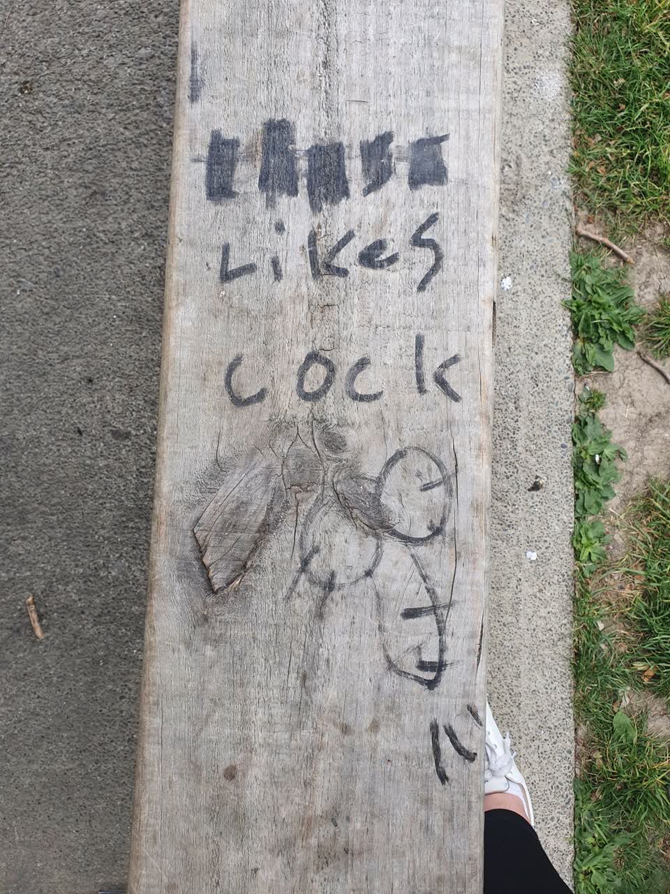 The photograph attached to this graffiti report