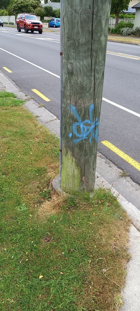 Graffiti, a report photo