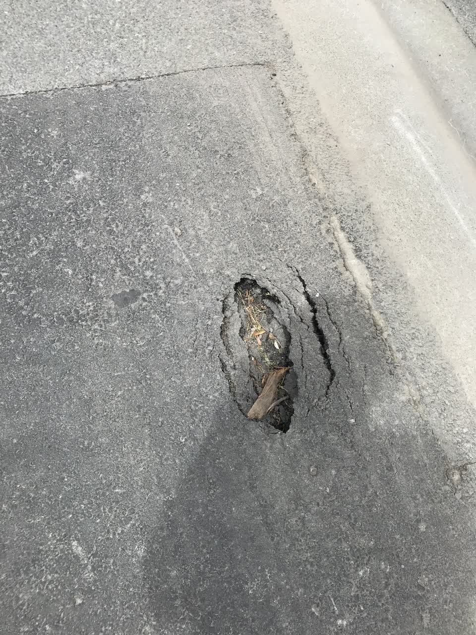 The photograph attached to this roading/streets report