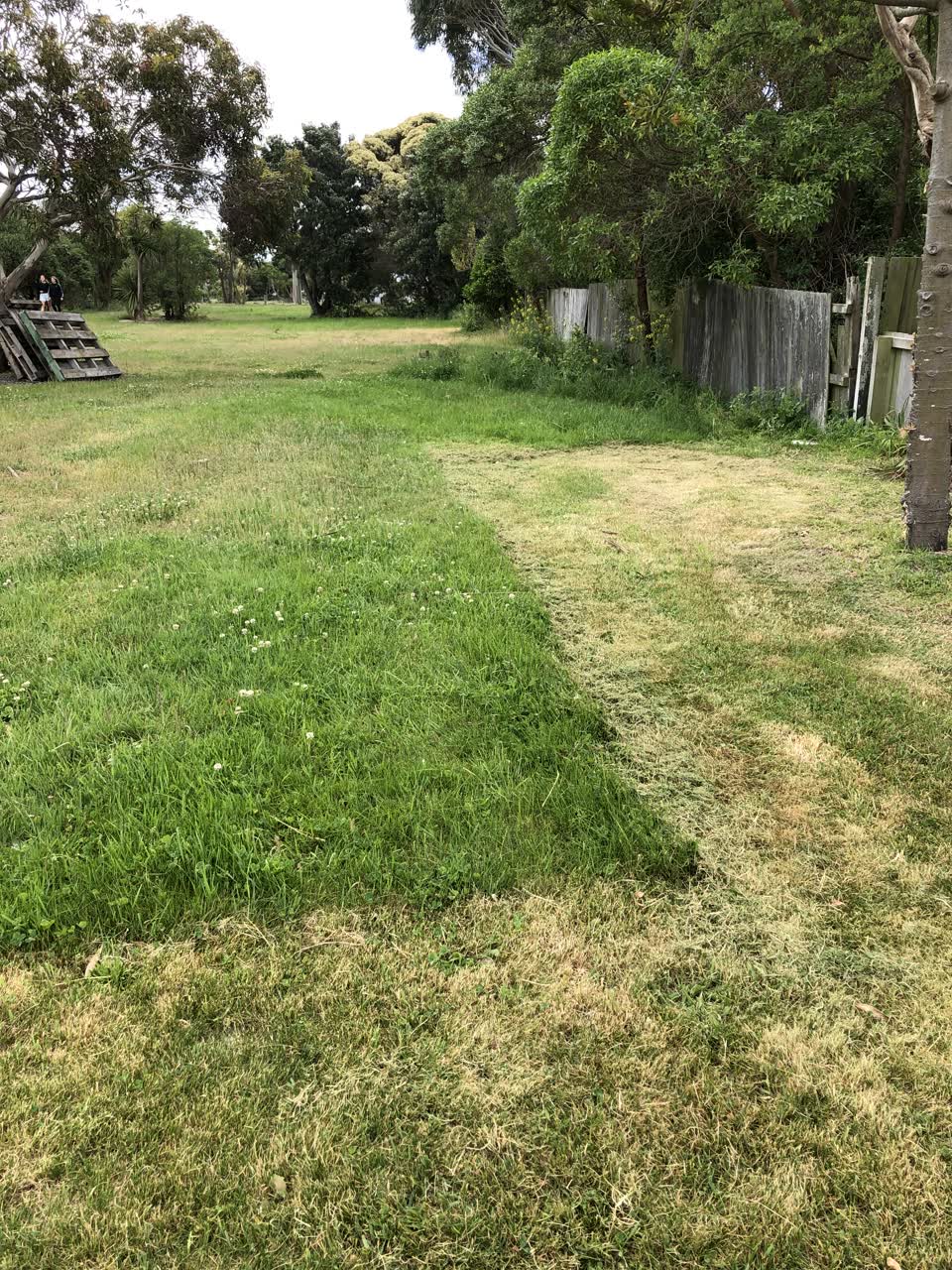 The photograph attached to this parks report