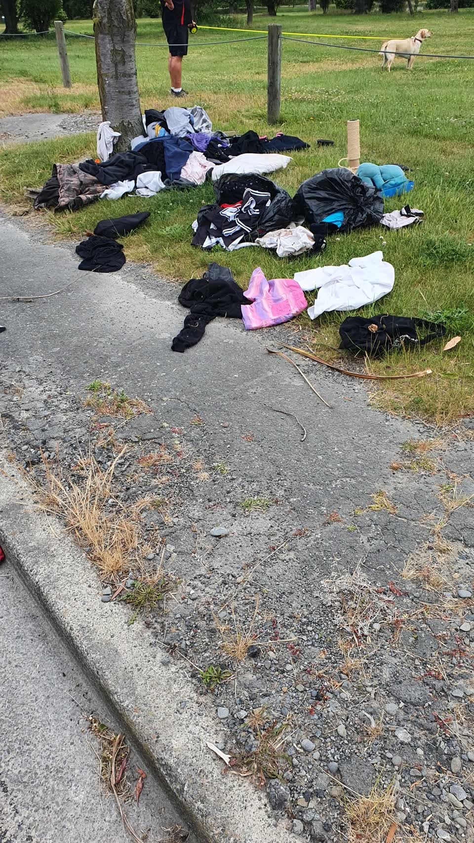 The photograph attached to this rubbish/recycling report