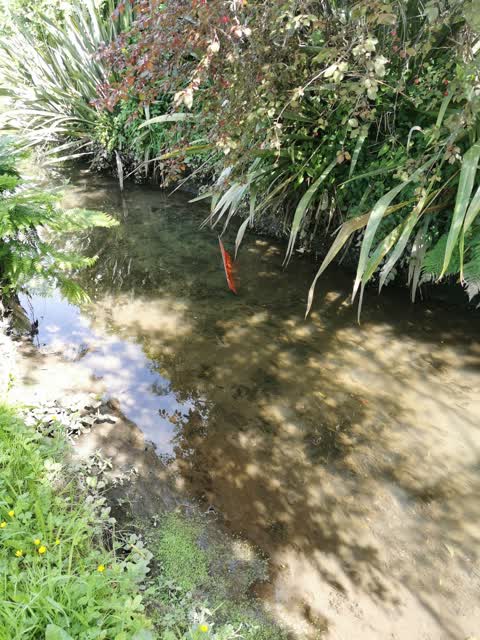 General Request, a report photo