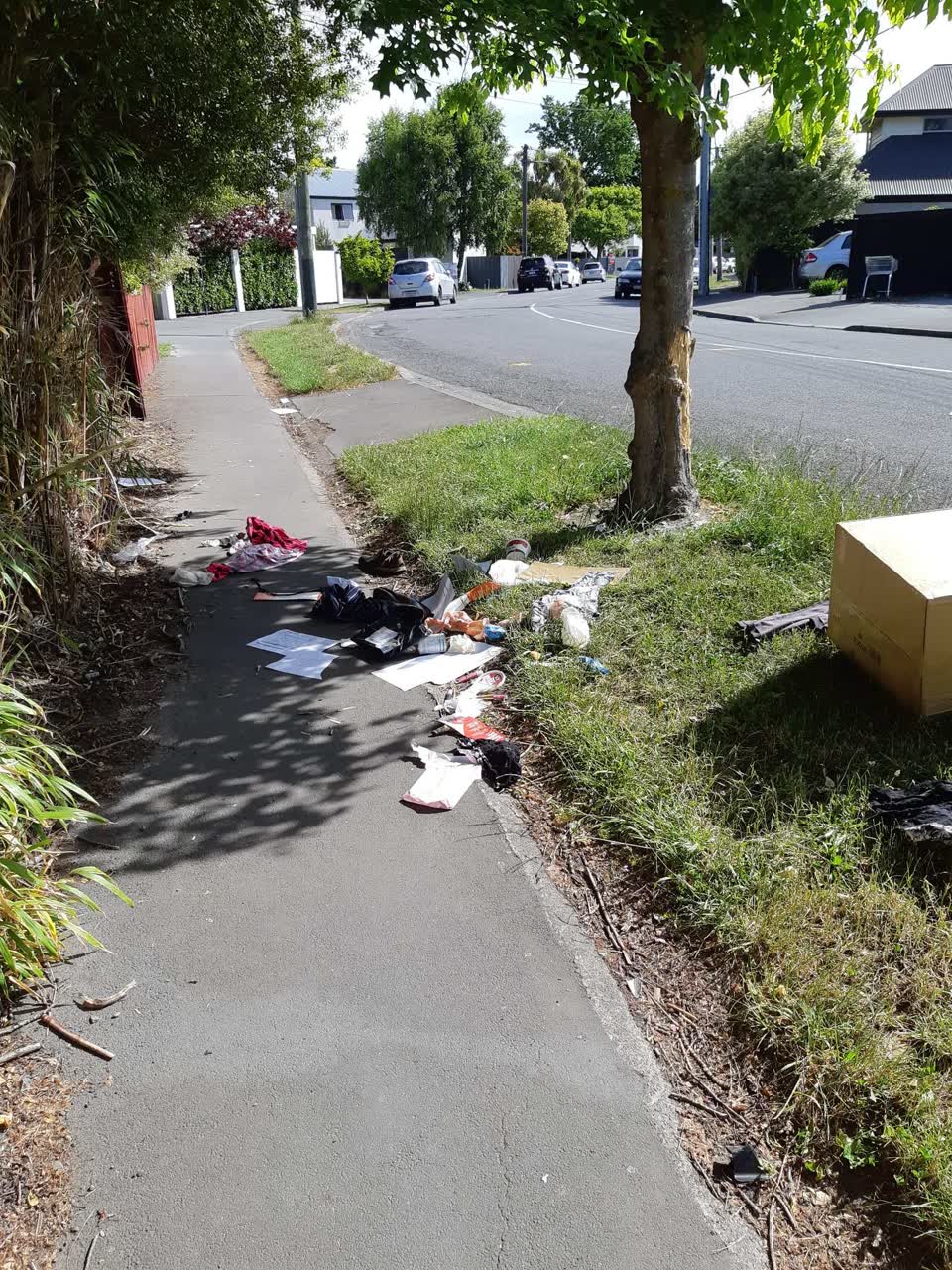 The photograph attached to this rubbish/recycling report