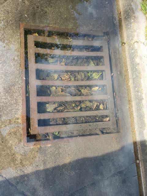 Roading/Streets, a report photo
