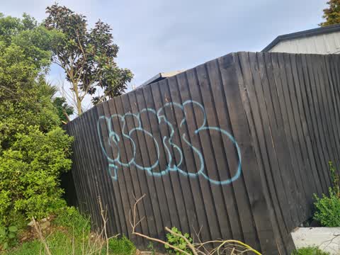 Graffiti — a report photo