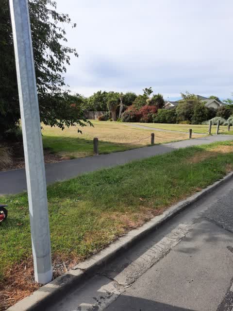 Parks, a report photo