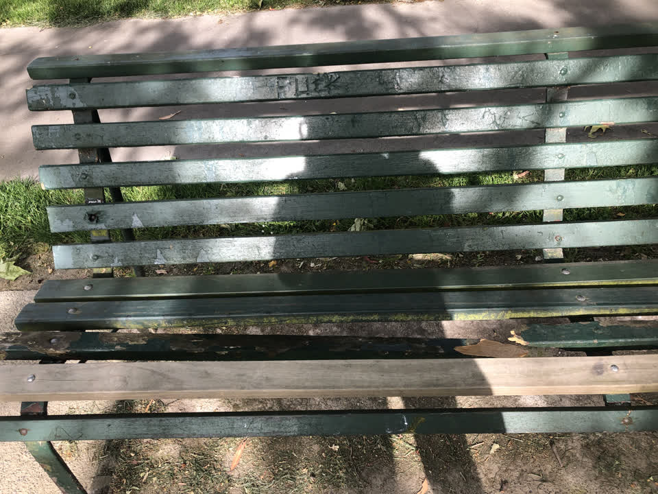 The photograph attached to this parks report