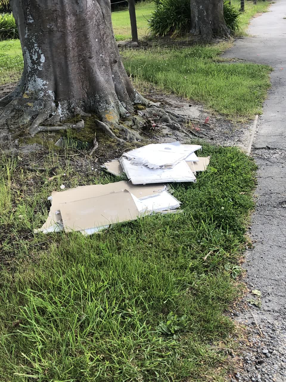 The photograph attached to this rubbish/recycling report