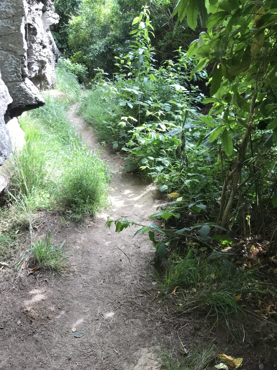 The photograph attached to this parks report