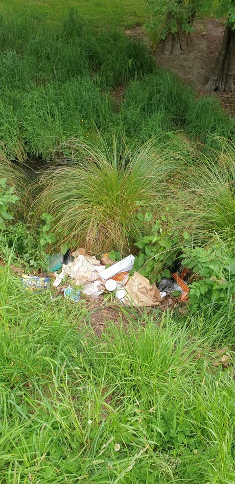 Rubbish/Recycling, a report photo