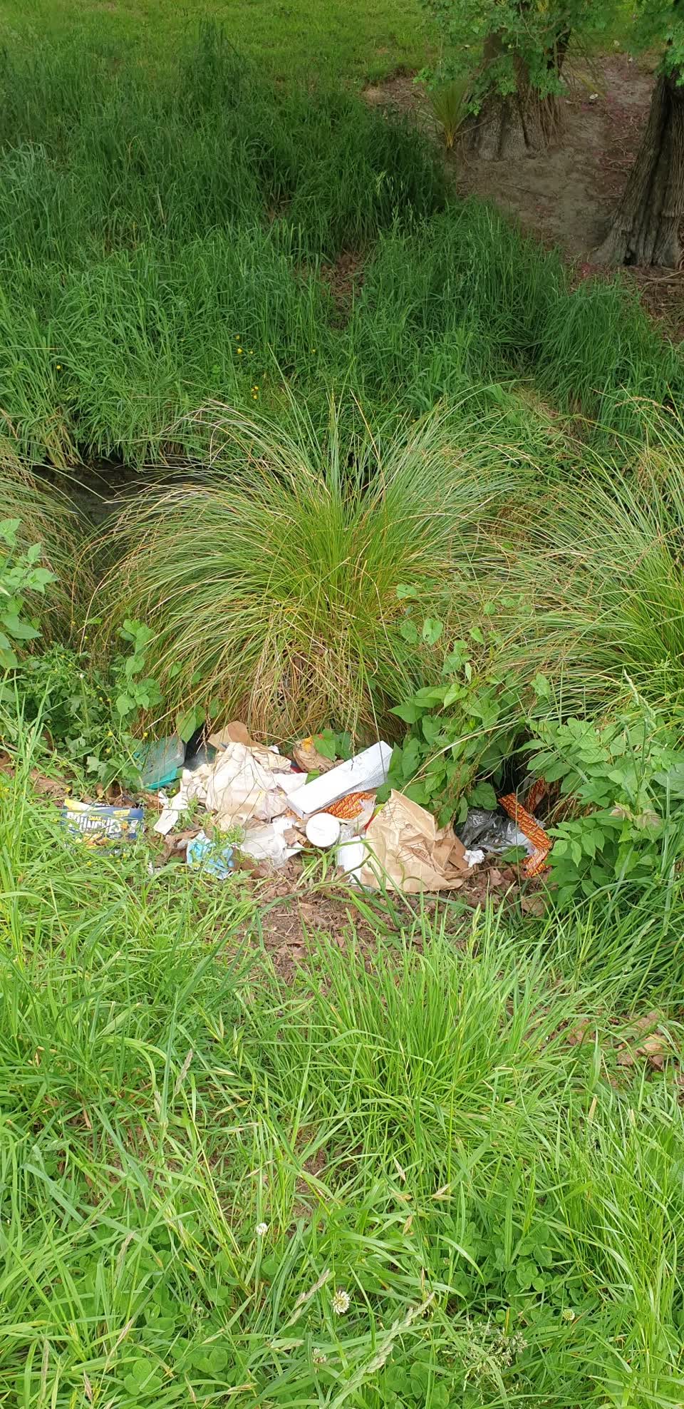 The photograph attached to this rubbish/recycling report