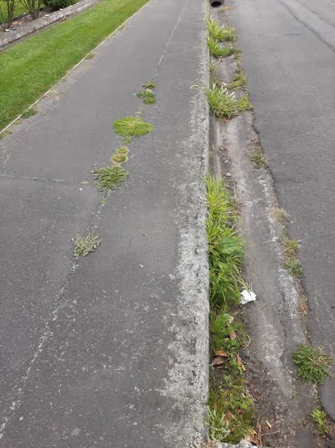 Roading/Streets, a report photo
