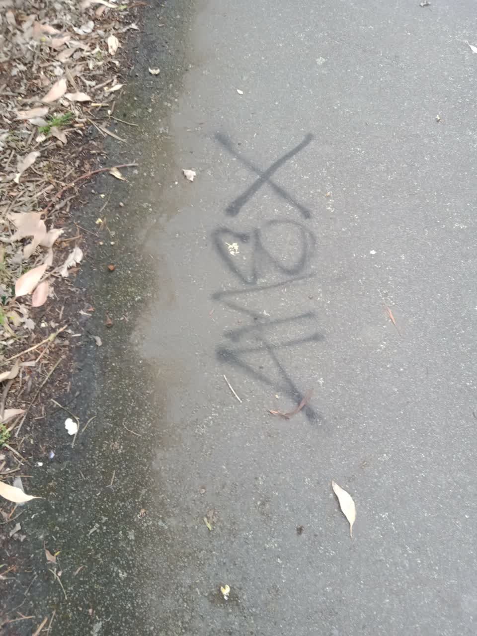 The photograph attached to this graffiti report