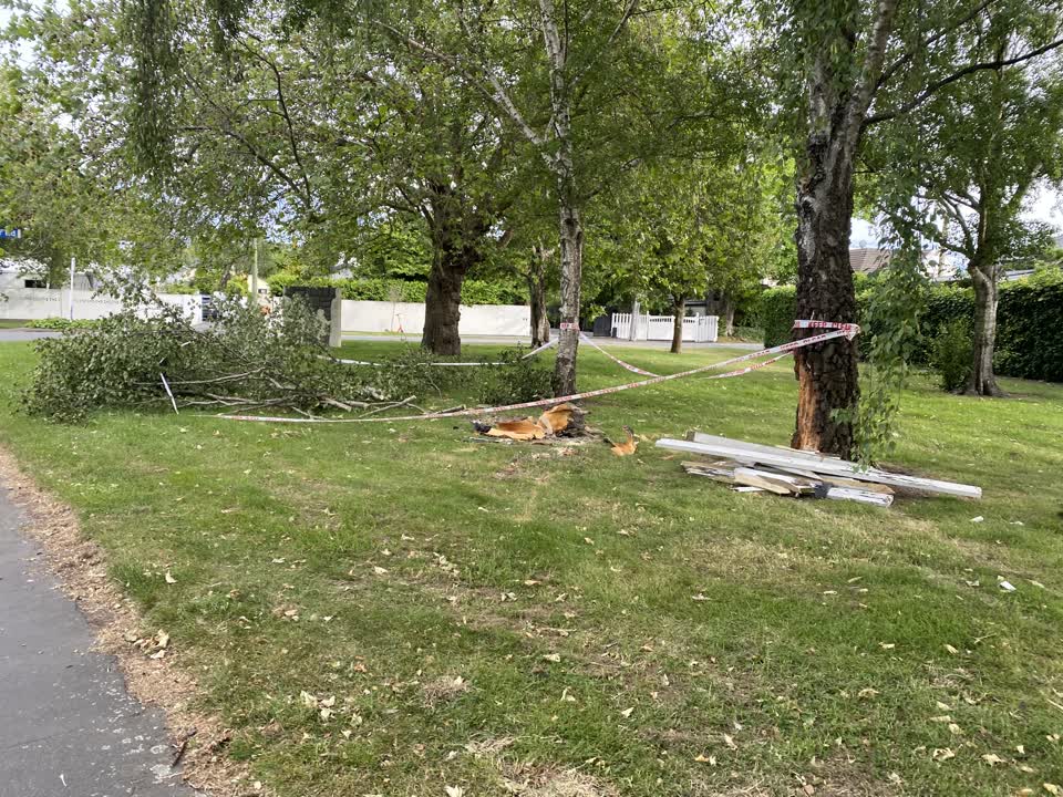 The photograph attached to this parks report