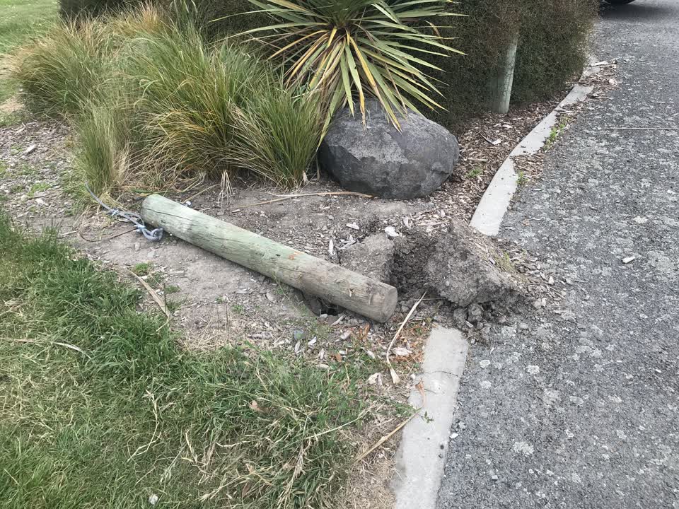 The photograph attached to this parks report