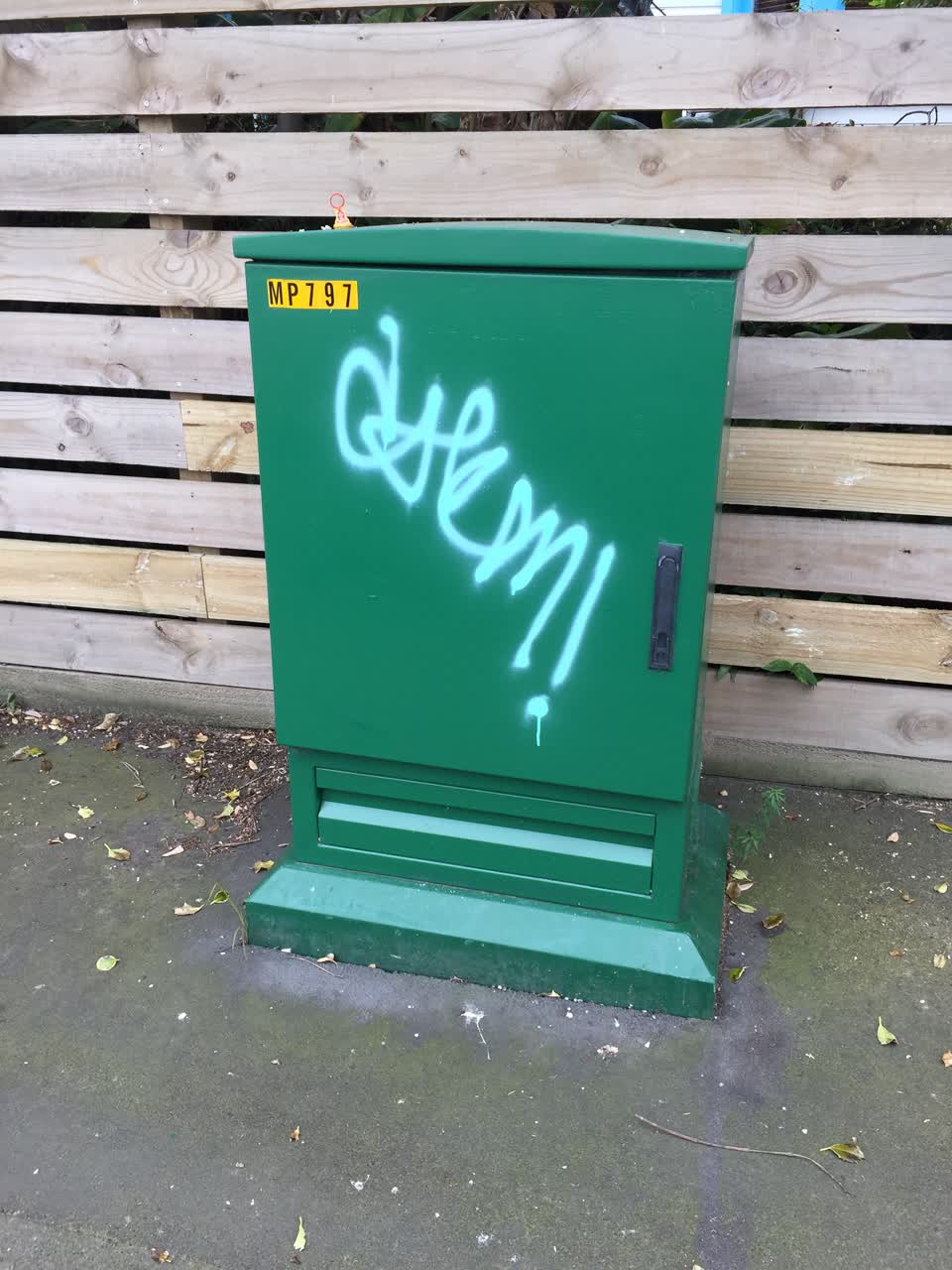 The photograph attached to this graffiti report