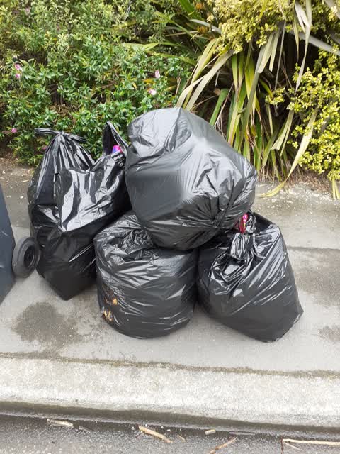 Rubbish/Recycling, a report photo