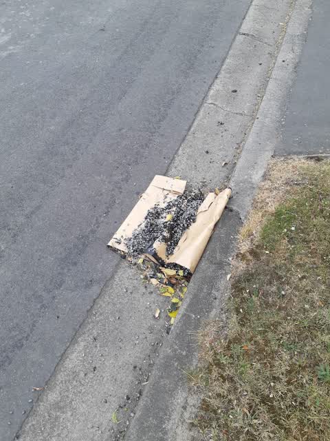 Rubbish/Recycling, a report photo