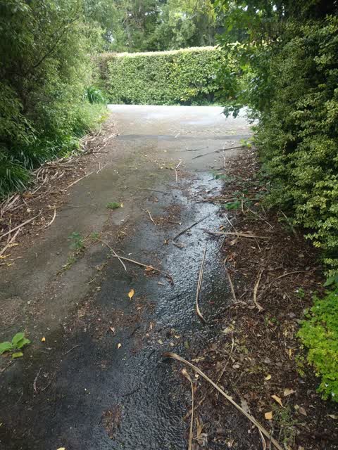 Water Leak, a report photo