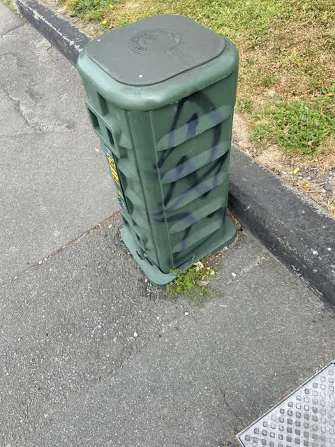 Graffiti, a report photo