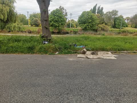 Rubbish/Recycling — a report photo