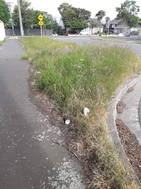Parks, a report photo
