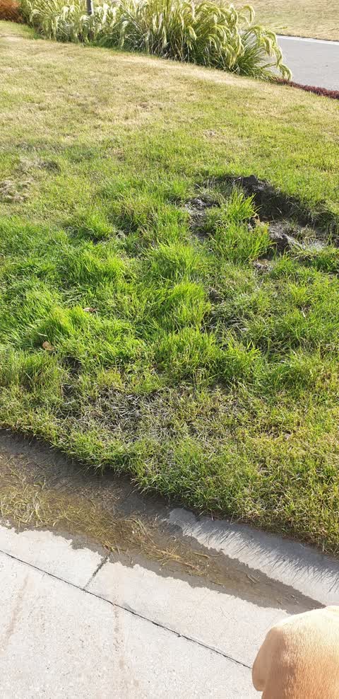 Water Leak, a report photo