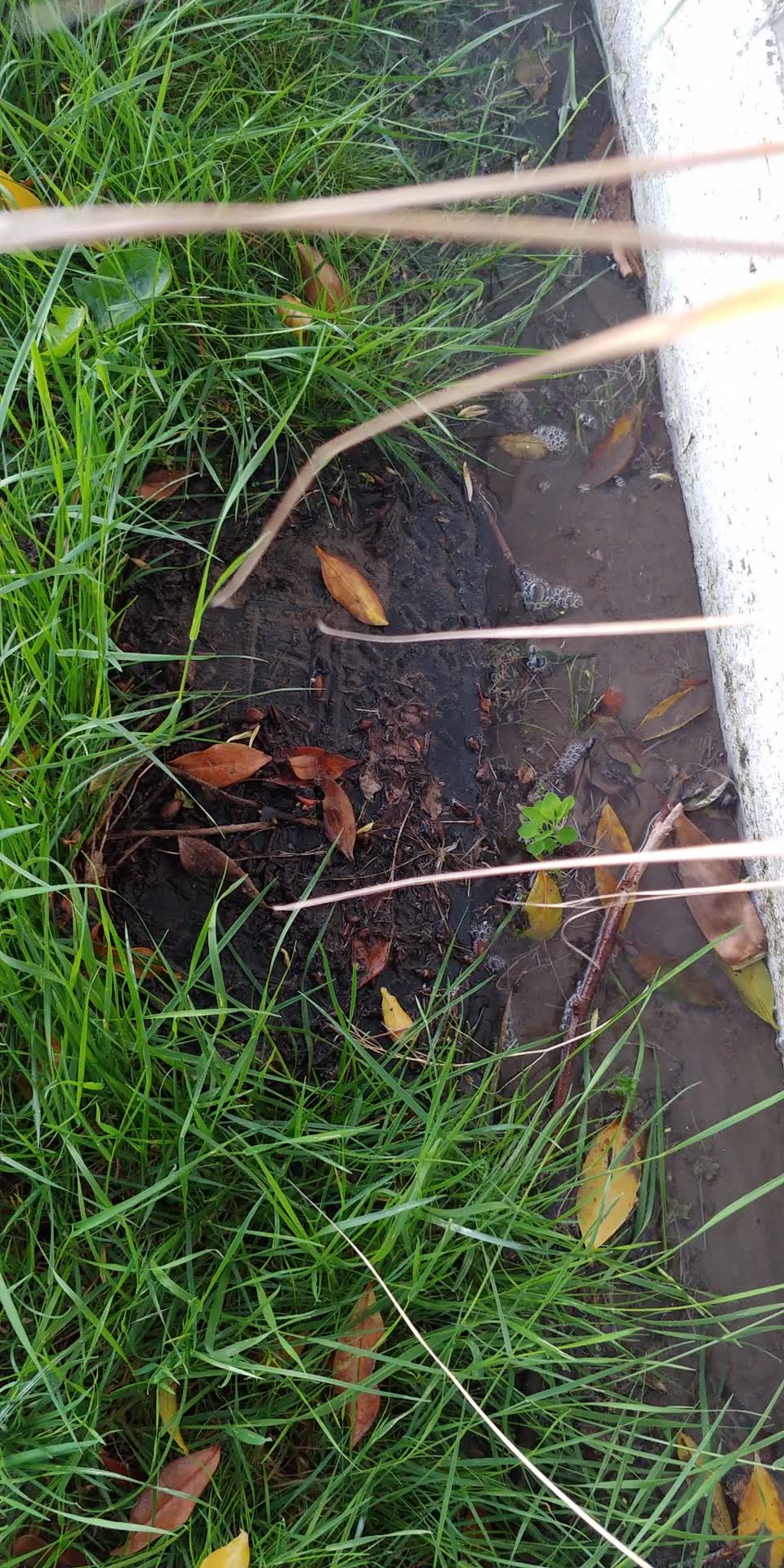 The photograph attached to this water leak report