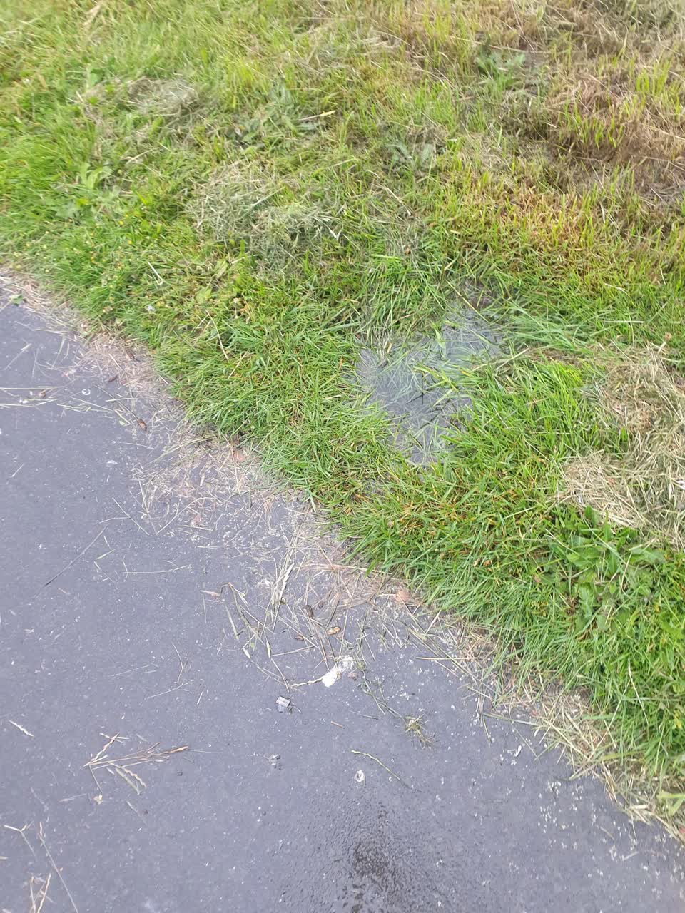 The photograph attached to this water leak report