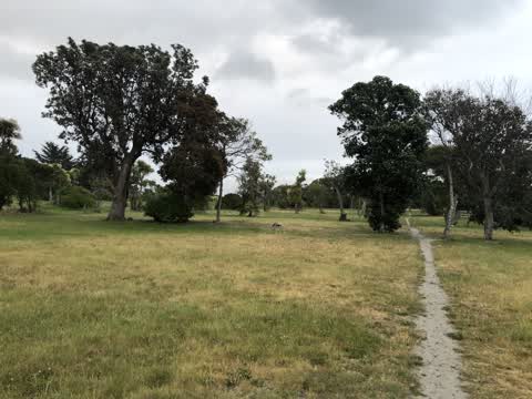 Parks, a report photo