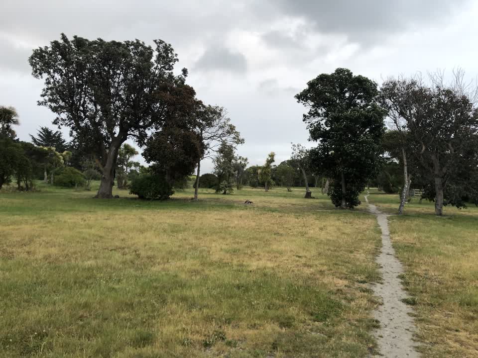 The photograph attached to this parks report