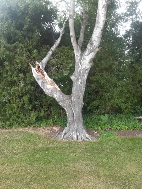 Parks, a report photo