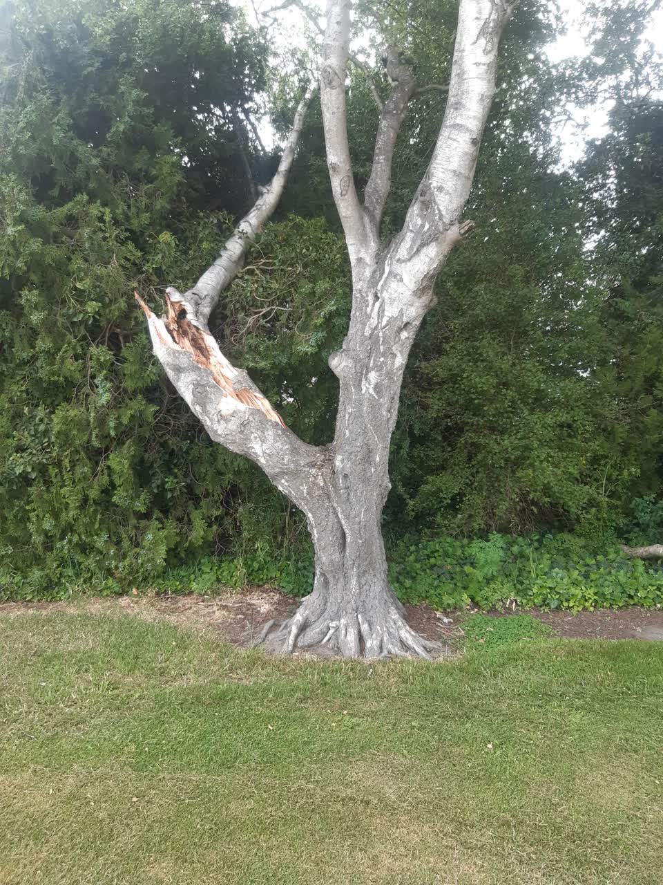 The photograph attached to this parks report