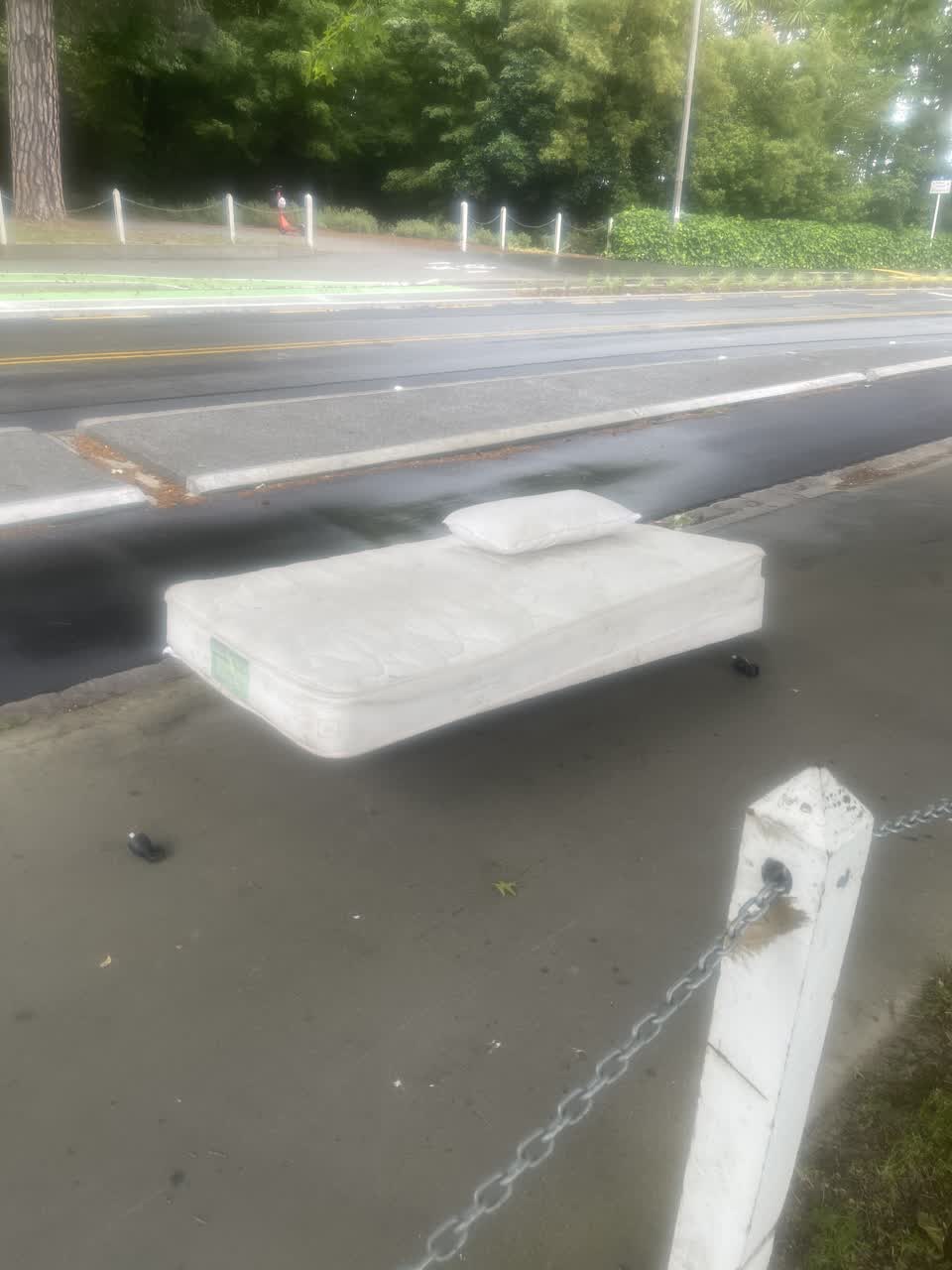 The photograph attached to this rubbish/recycling report