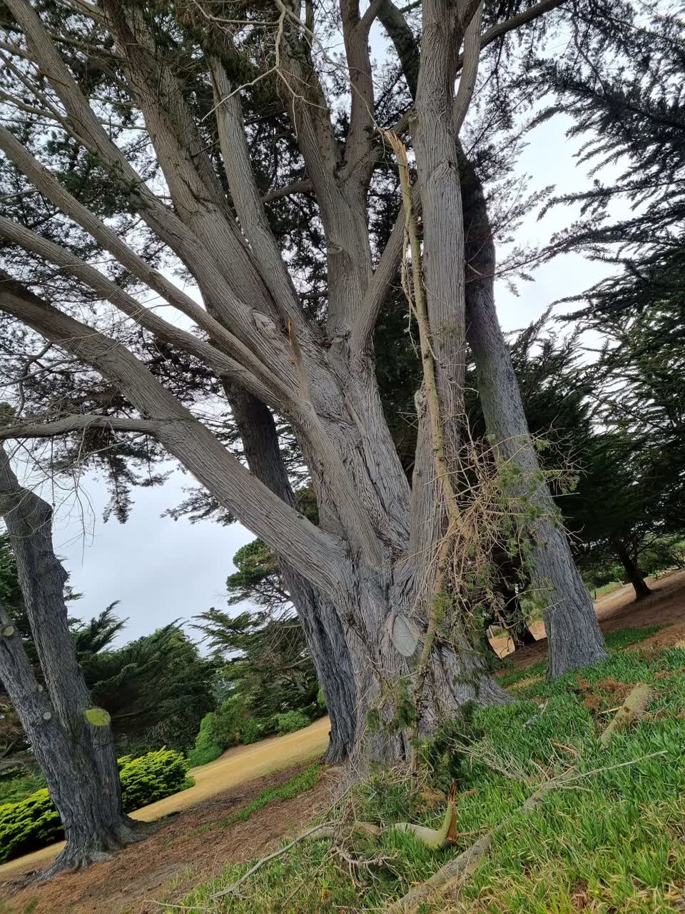 The photograph attached to this parks report
