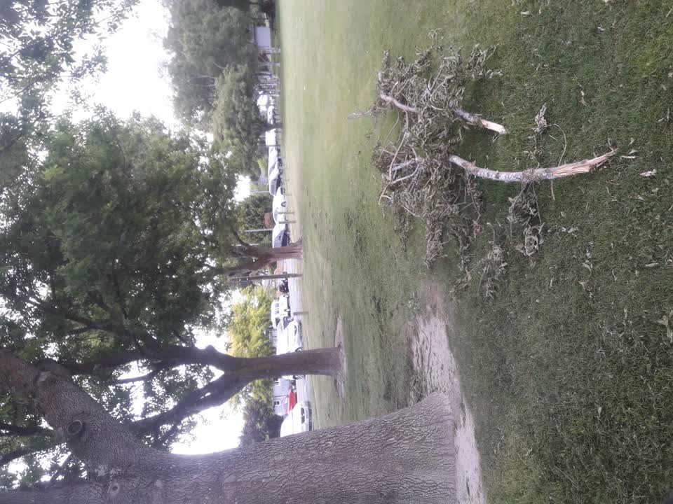 The photograph attached to this parks report