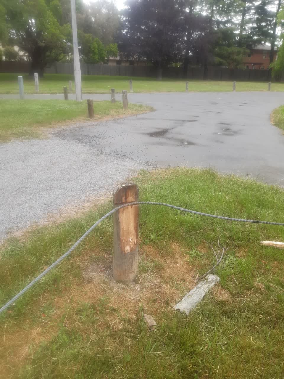The photograph attached to this parks report