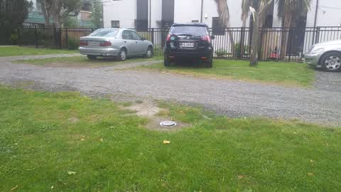 Roading/Streets, a report photo