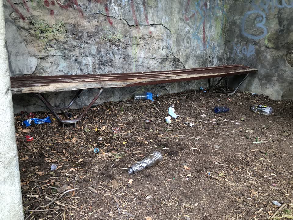 The photograph attached to this parks report